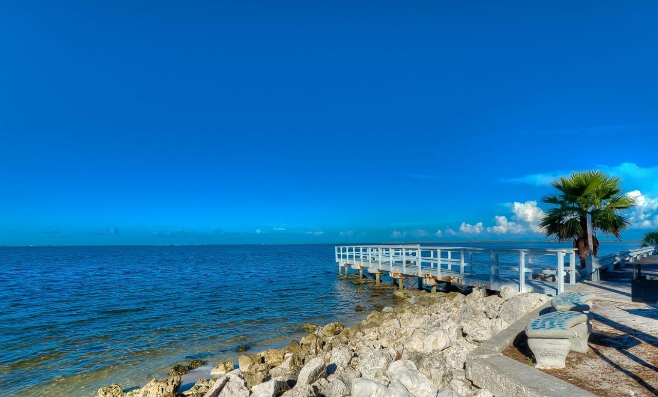 202-Pool, Wifi, Close To Bucs Stadium تامبا المظهر الخارجي الصورة